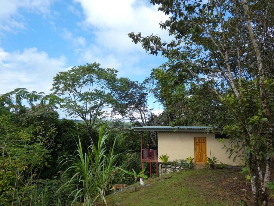 Drakes Bay Tapiru'S House - Bahia Drake 아파트 외부 사진