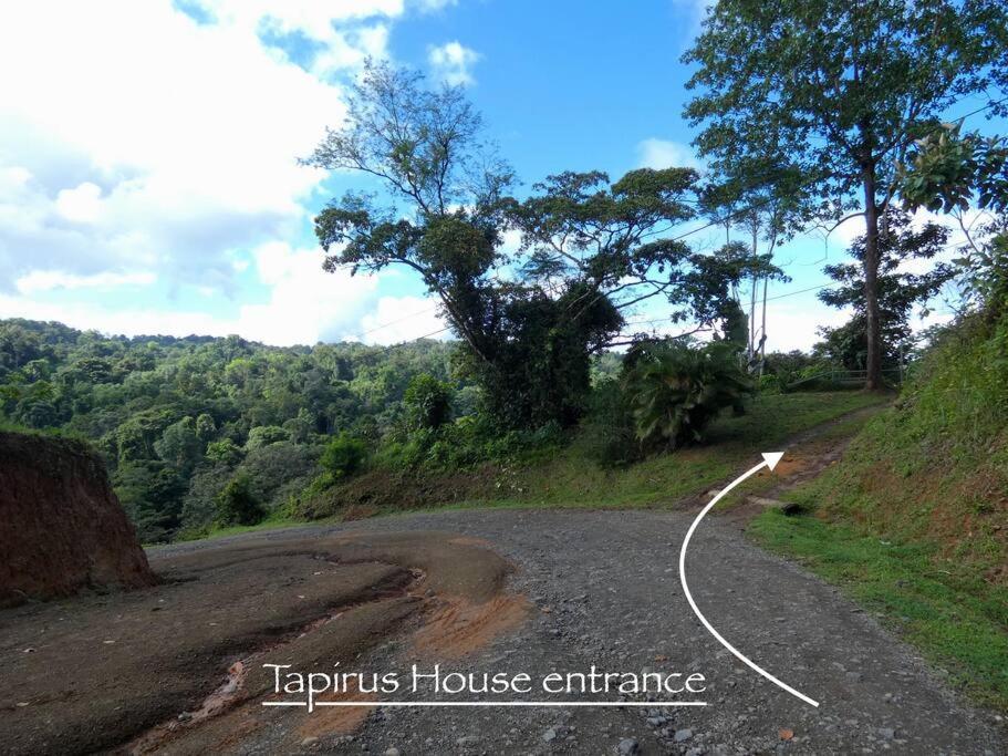 Drakes Bay Tapiru'S House - Bahia Drake 아파트 외부 사진