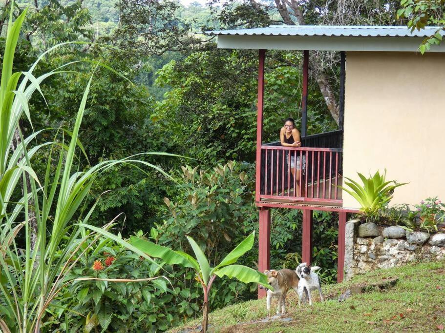 Drakes Bay Tapiru'S House - Bahia Drake 아파트 외부 사진