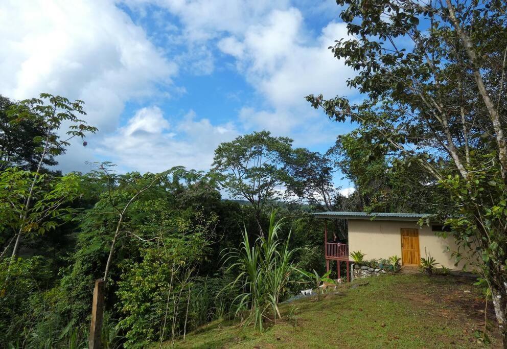 Drakes Bay Tapiru'S House - Bahia Drake 아파트 외부 사진